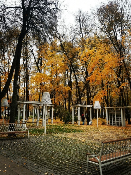  Парк усадьбы «Кривякино» г.о. Воскресенск вошел в маршрут «Заповедные территории»