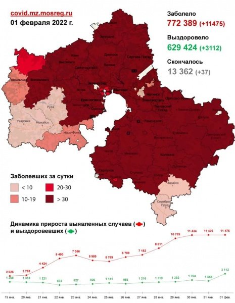 11 475 случаев заболевания коронавирусом выявлено в Подмосковье за сутки