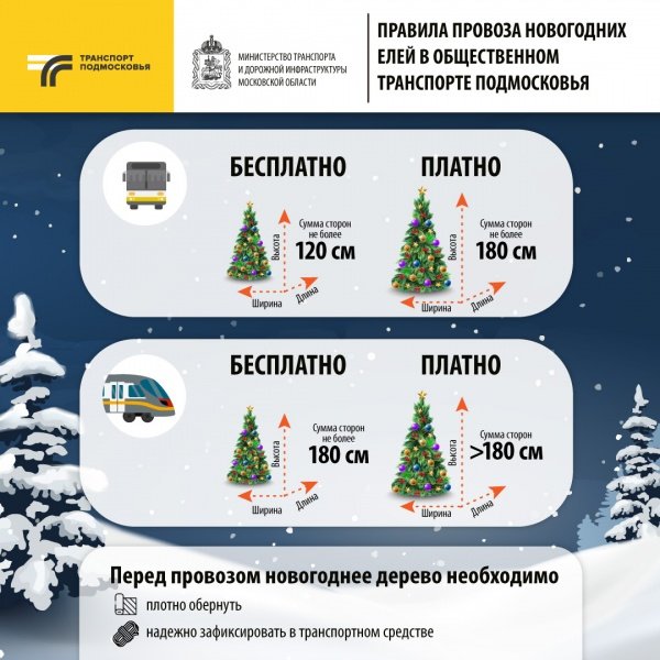 Как правильно провезти новогоднюю елку в общественном транспорте Московской области