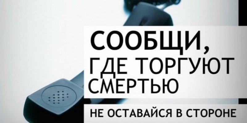 Всероссийская акция «Сообщи, где торгуют смертью» стартует в Подмосковье