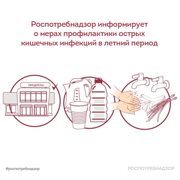 Меры профилактики острых кишечных инфекций в летний период