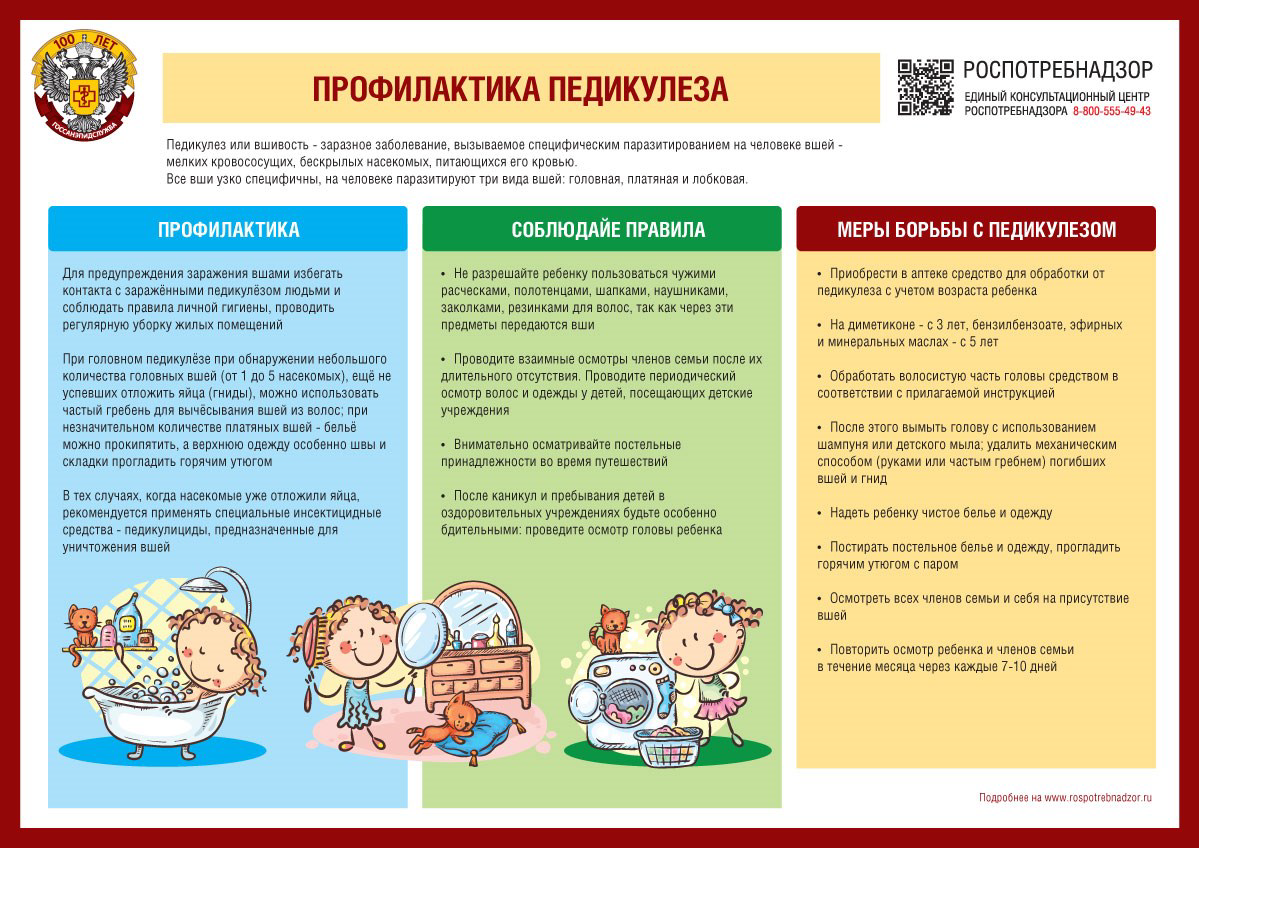 О мерах профилактики педикулеза 
