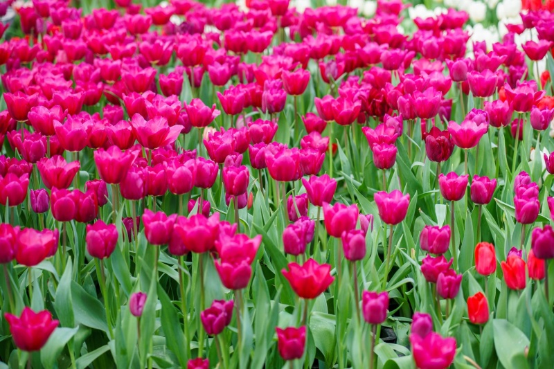 С Днём экономиста! 