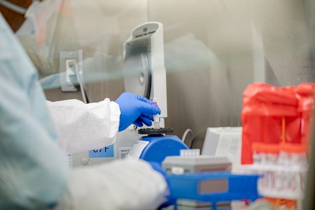 В Подмосковье более, чем в 10 раз увеличится количество проводимых тестов на коронавирус