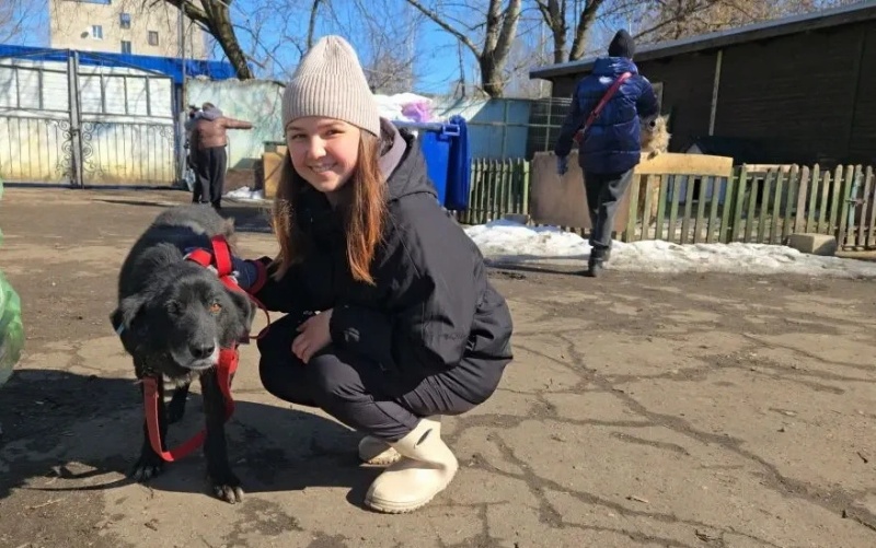 Волонтеры «ВМУ» в Воскресенске оказали поддержку приюту для животных 