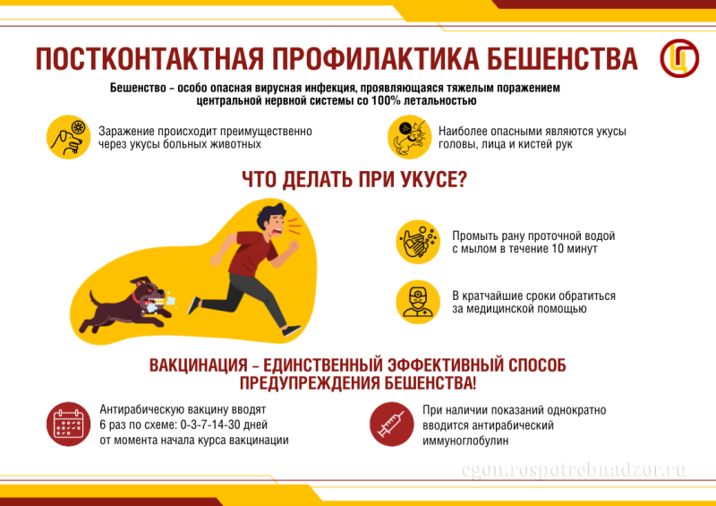 Постконтактная профилактика бешенства