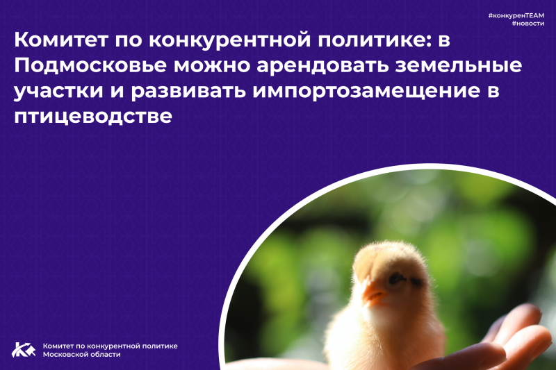 Комитет по конкурентной политике: в Подмосковье можно арендовать земельные участки и развивать импортозамещение в птицеводстве 
