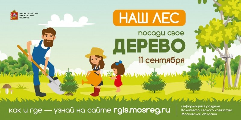 Администрация городского округа Воскресенск приглашает всех желающих принять участие в акции «Наш лес. Посади свое дерево»