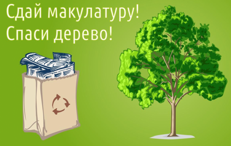«Сдай макулатуру – спаси дерево!»