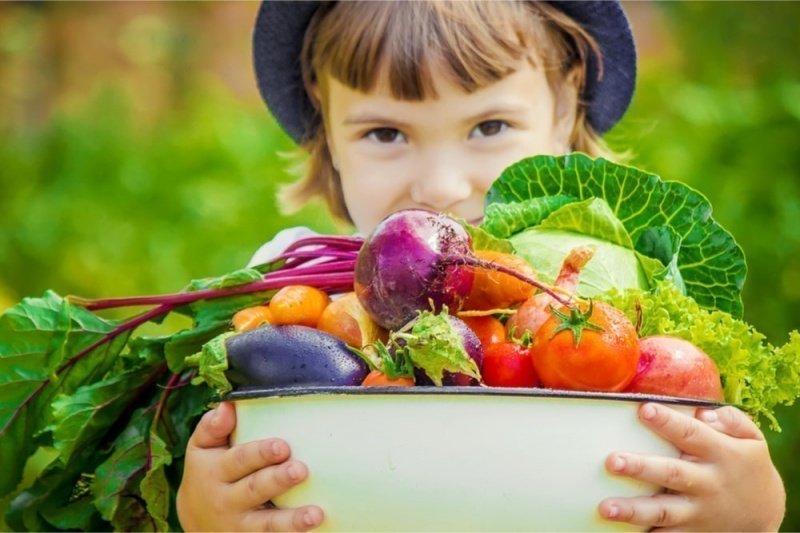 Пищевые привычки детей и здоровье. Как рацион ребенка влияет на качество его дальнейшей жизни