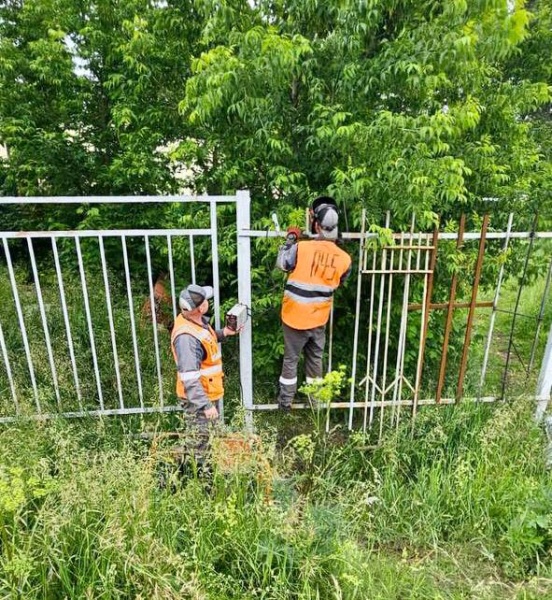  В Подмосковье с начала года устранили более 190 "опасных" троп в 40 округах