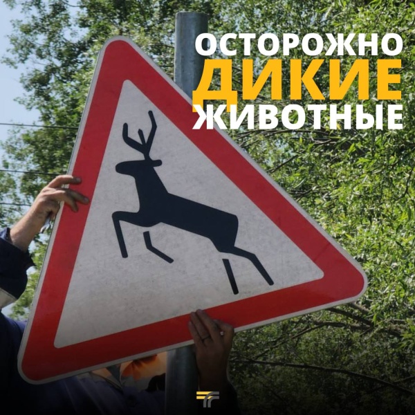 Вниманию водителей! 