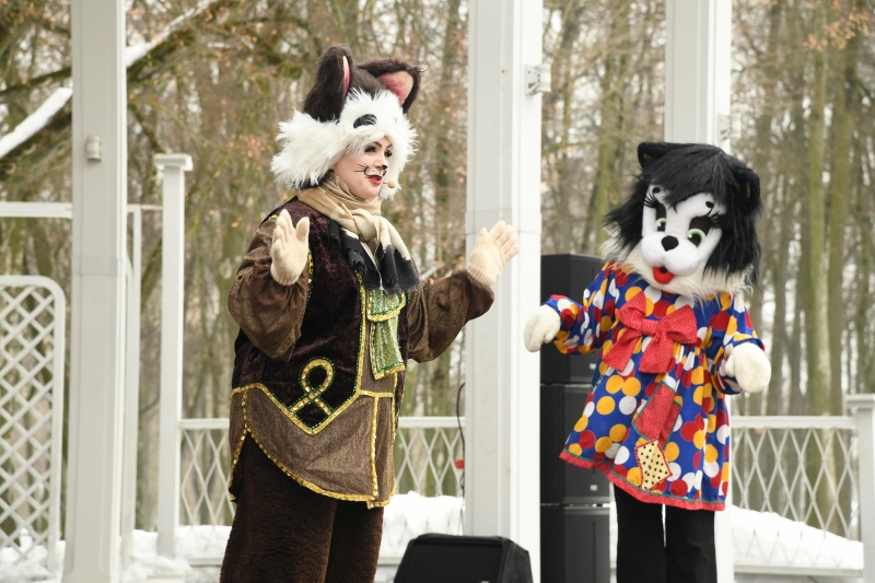 В парке Воскресенска отметили День кошек 