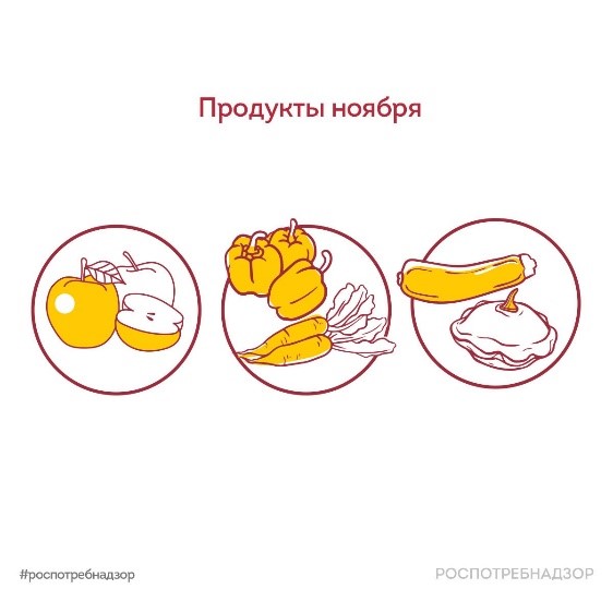 Продукты ноября 