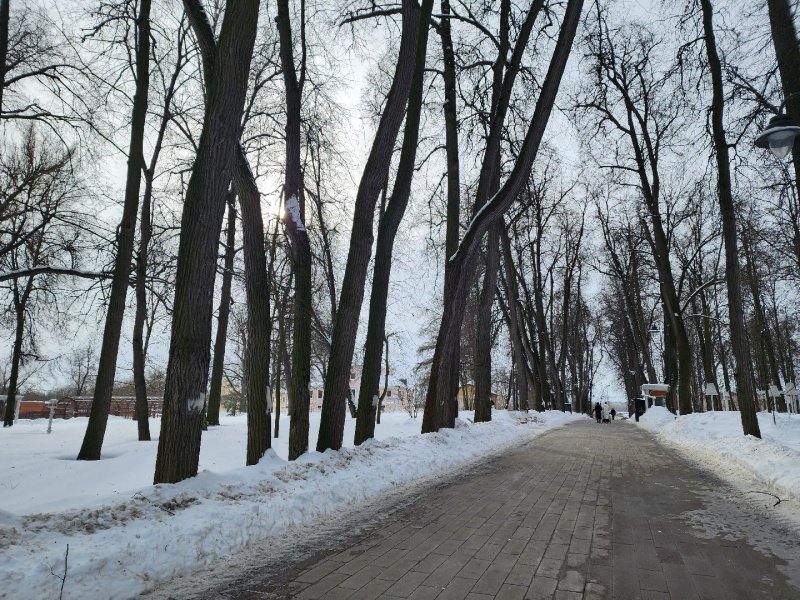 В воскресенском парке качественно чистят пешеходные дорожки
