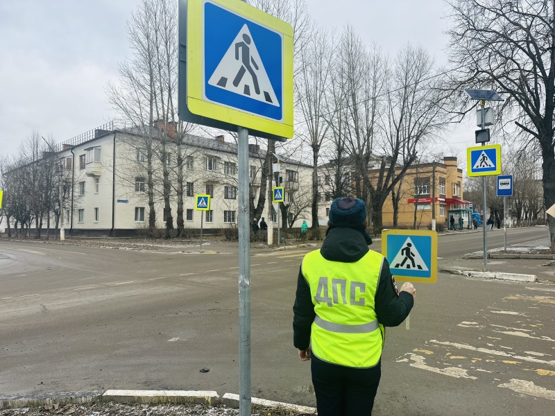 Госавтоинспекция проведет в Воскресенске областное мероприятие «Пешеход - пешеходный переход» 