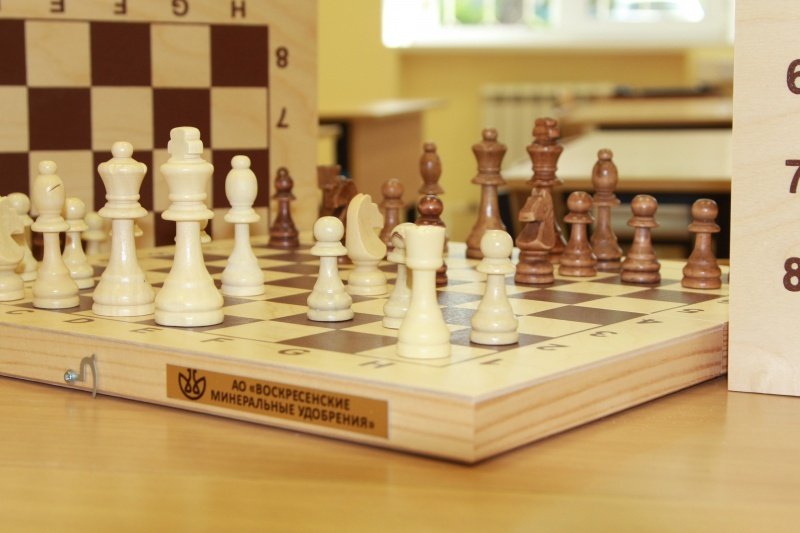 В школе Воскресенска проведут шахматный турнир памяти химика Александра Иванова