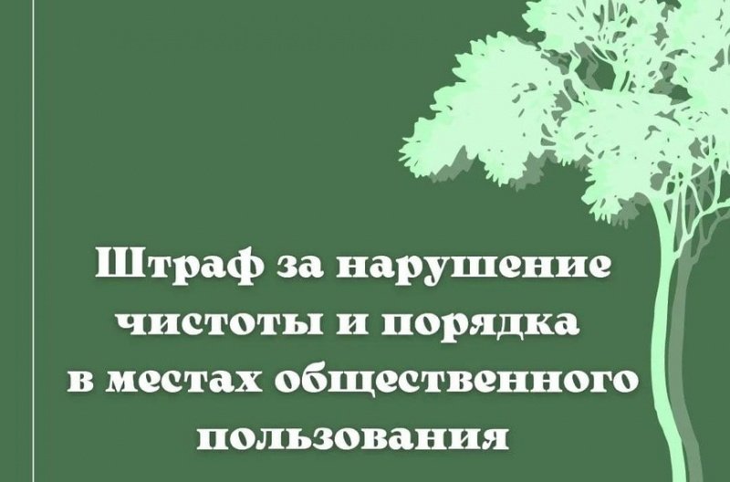 Картинки соблюдайте чистоту в подъезде — подборка