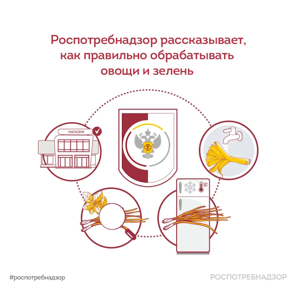 Роспотребнадзор информирует 