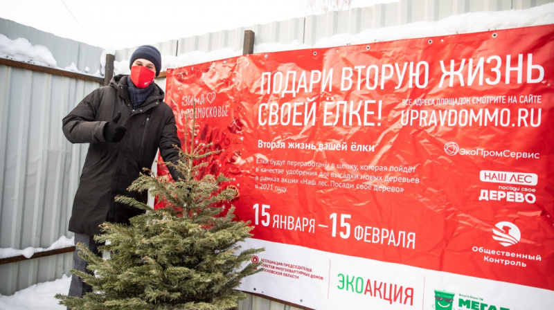 За две недели эко-акции «Подари вторую жизнь своей елке» жители Подмосковья сдали рекордное количество новогодних деревьев