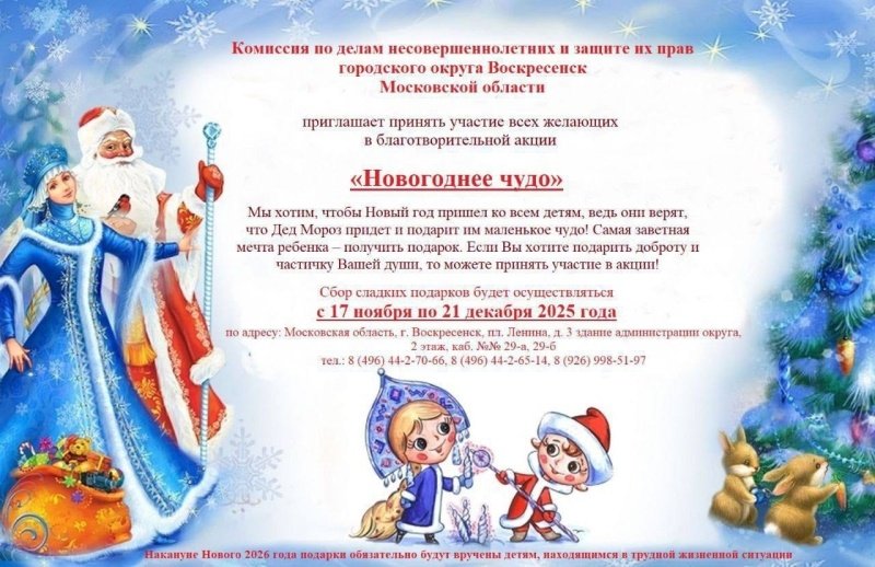 В Воскресенске проходит благотворительная акция "Новогоднее чудо" 