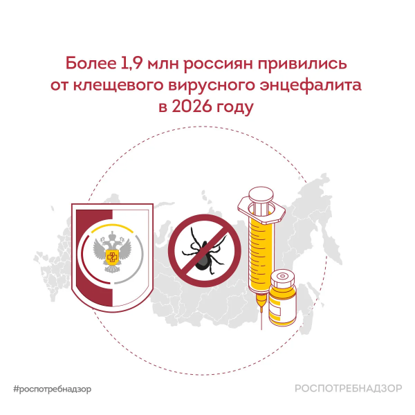 Более 1,9 млн россиян привились от клещевого вирусного энцефалита в 2026 году