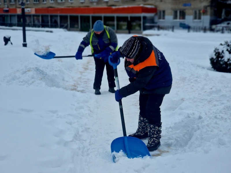В Воскресенске расчистили территорию бассейна «Дельфин»
