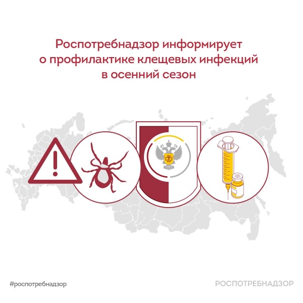 Роспотребнадзор информирует о профилактике клещевых инфекций в осенний сезон