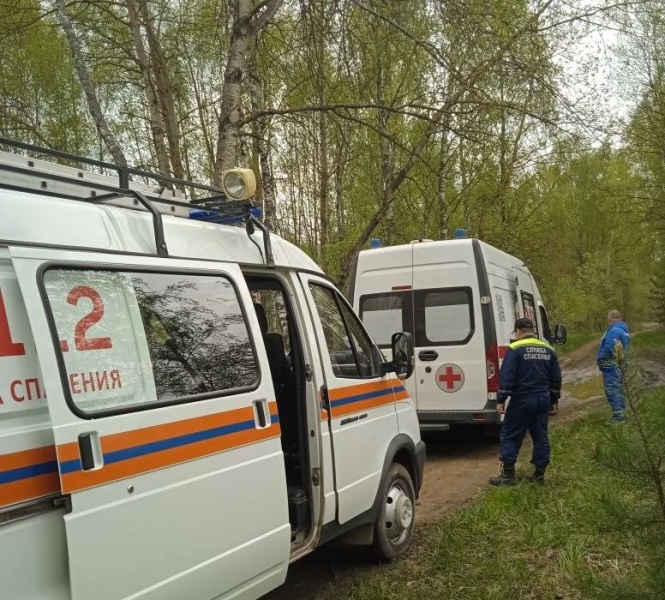 В Воскресенске спасли заблудившегося в лесу мужчину