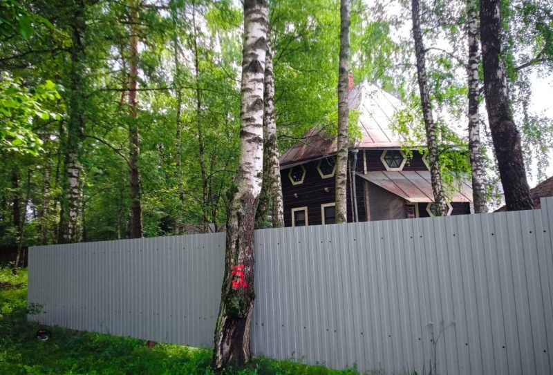 В лесах городского округа Воскресенск продолжаются активные работы по рубке аварийных деревьев