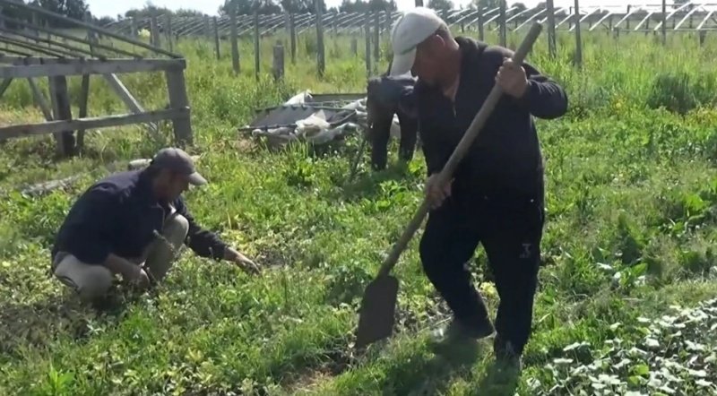 Полицейские пресекли деятельность нелегальных мигрантов