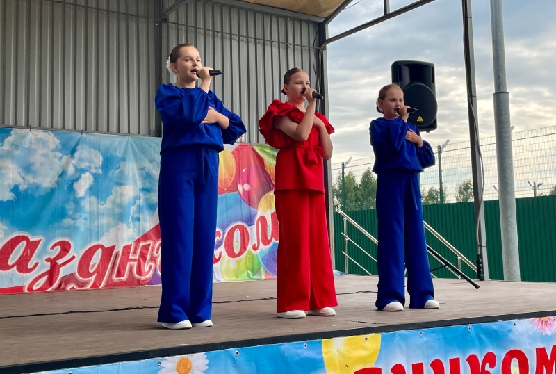 В деревне Чемодурово городского округа Воскресенск отметили День семьи, любви и верности