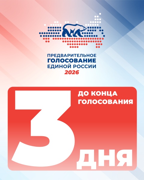 До окончания электронного предварительного голосования «Единой России» в Воскресенске осталось 3 дня!