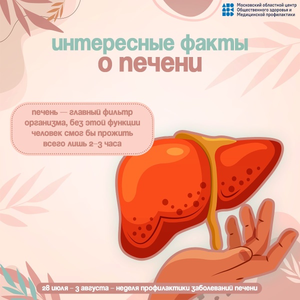 Интересные факты о печени