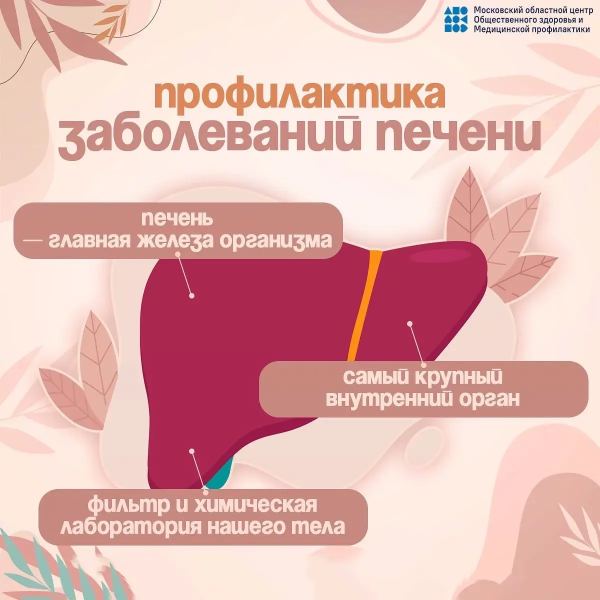 Неделя профилактики заболеваний печени