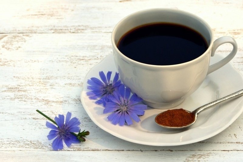 Кофе vs цикорий: возможна ли замена?