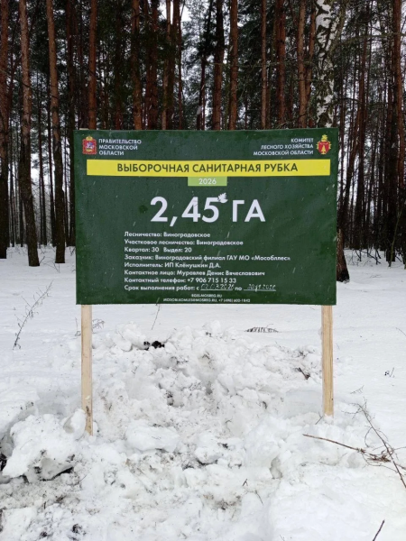 В городском округе Воскресенск приступили к выполнению санитарно-оздоровительных мероприятий