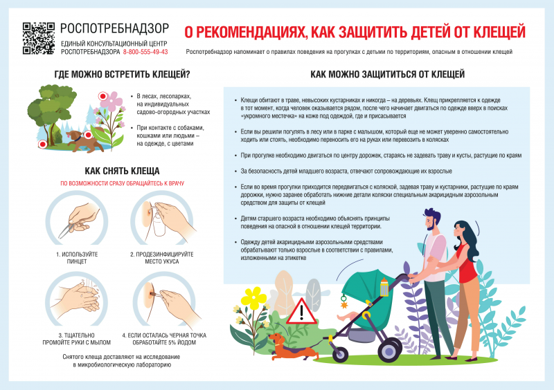 В Подмосковье активизировались клещи: что важно знать?