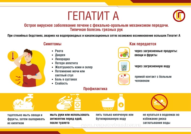 О мерах профилактики вирусного гепатита А 