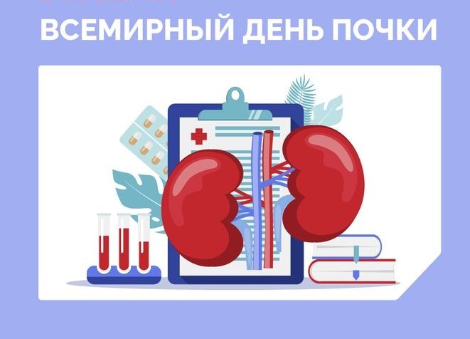 Сегодня Всемирный день почки 