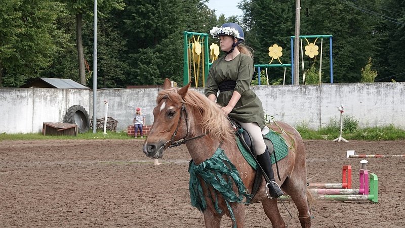 Кск лидер. Конный спорт. Соревнования по конному спорту. Спортивные лошади. Конный спорт для детей.