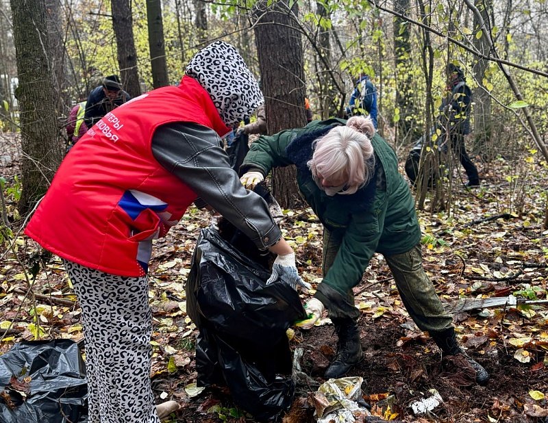люди в лесу на субботнике