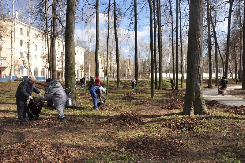 Погода воскресенское на 3 дня. Парк Воскресенск. Парки Воскресенска. Субботник в Подмосковье. Парк по сезонам.